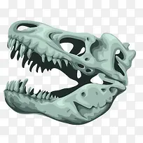 恐龙头骨