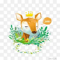 小狐狸国王