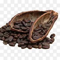 咖啡籽