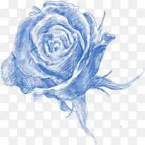 手绘蓝色水彩玫瑰花朵