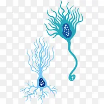 蓝色可爱神经细胞矢量图