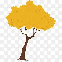 黄色树叶的大树