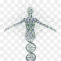 DNA人体遗传图片