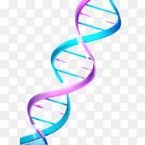 可爱彩色DNA双螺旋基因链