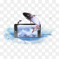 智能手机与浪花鱼