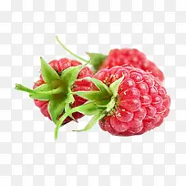 树莓png图片素材