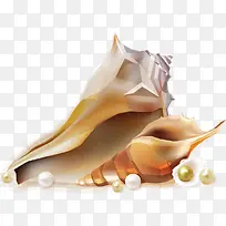 海螺珍珠