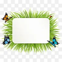 绿色方框蝴蝶