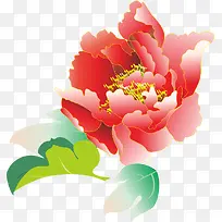 红花背景