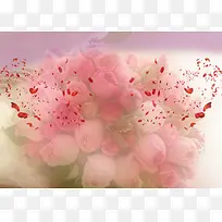 背景花