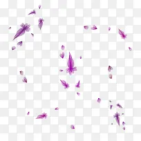 漂浮花儿