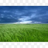 乌云密布的天空绿油油的草地海报背景