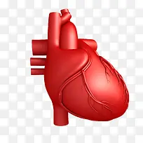 心脏3D立体插画
