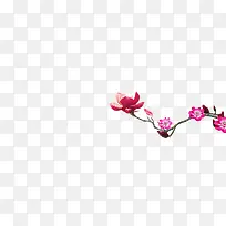 一枝红杏图案