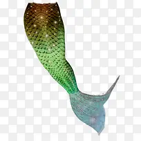 美人鱼的尾巴PNG免抠素材