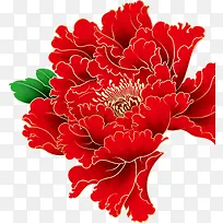 大红的牡丹花蕾背景素材