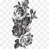 黑白玫瑰素描