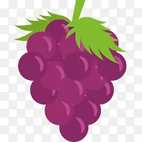 葡萄水果卡通图案