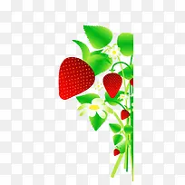 矢量扁平草莓