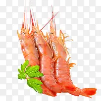 怡仙来阿根廷红虾