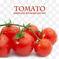 海报上的西红柿高清图片