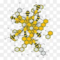 蜜蜂与化学方程式