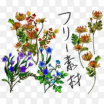 日式古典花朵花卉