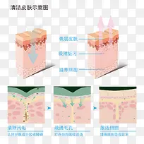 深度清洁皮肤示意图