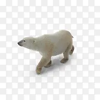 胖北极熊