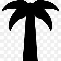 对称的棕榈树图标