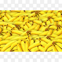 香蕉美图风景