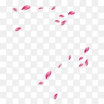 粉色花瓣飘逸空中