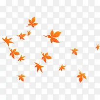 绚丽橙色飞舞漂浮枫叶