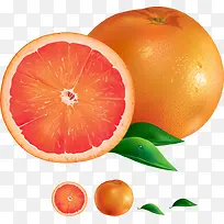 矢量鲜橙
