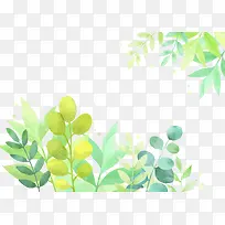 春天植物水彩插画