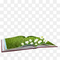 绿色草坪书本