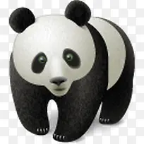 熊猫动物熊中国中国人东方动物