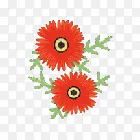 红色圆圈菊花