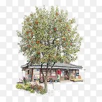 手绘橘子树下的杂货店