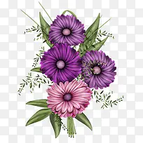 鲜艳的紫色鲜花