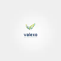 valexo标志logo素材