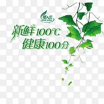 绿叶葡萄叶新鲜100℃艺术字