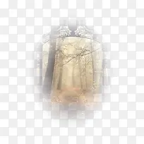 林间美景