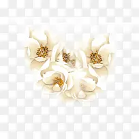 合成创意高清白色的玉兰花