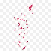 粉色玫瑰花花瓣漂浮素材