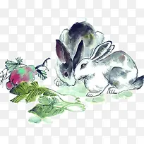 国画兔子