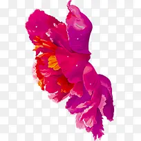手绘涂鸦颜色花朵