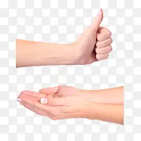 双手和点赞