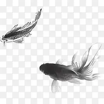 游动的金鱼和鲤鱼水墨画中秋
