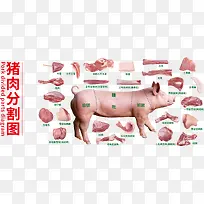 实物猪肉分割图
